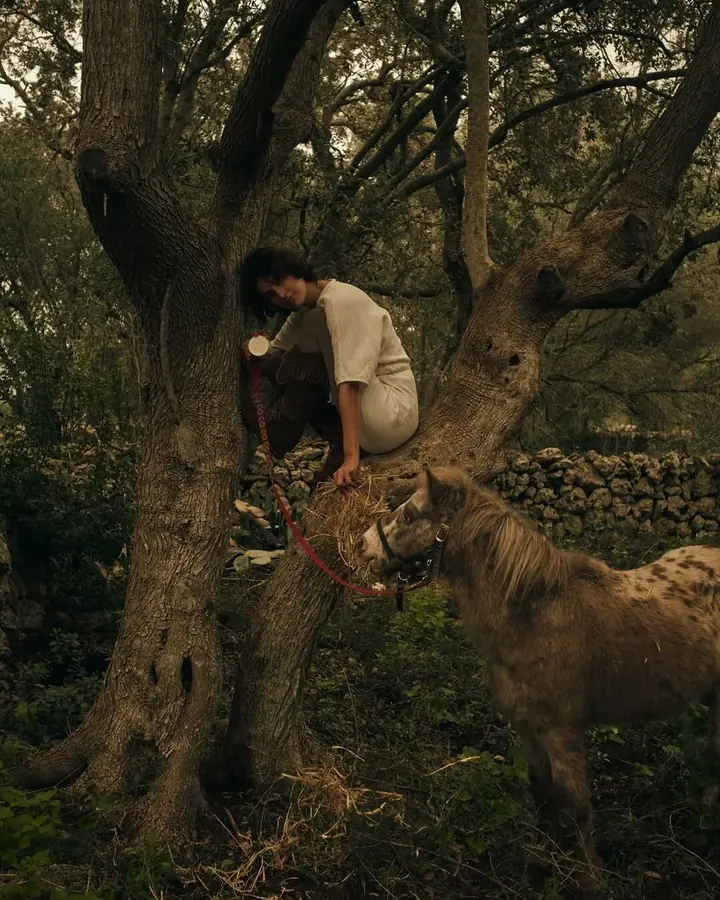 ema crouched among the old olive trees at dusk, reaching towards the pony