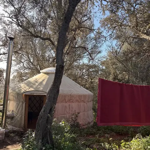 a yurt among the trees at dusk